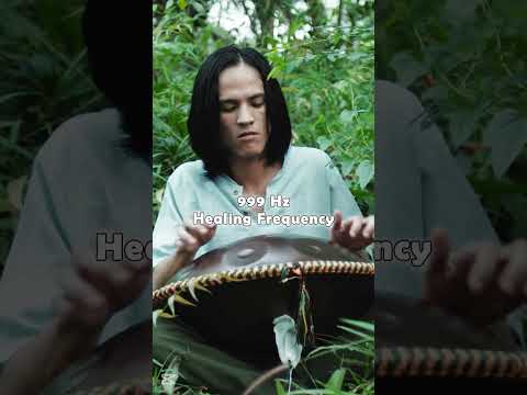 Loving the wilderness | handpan music @Handpanion