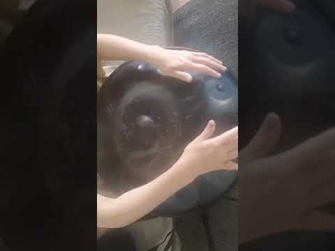 HandPan E/A Romanian Hijaz 11