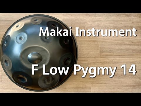 【レンタル用ハンドパン】Makai Instrument / F Low Pygmy 14 試奏1