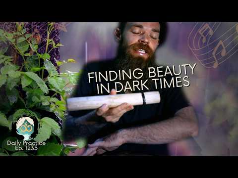 Seeing the Beauty of Our Lives | Guided Breathwork Meditation | Ep. 1235