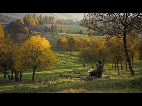 Matt Trześniowski - Heartbeat / Handpan Groove / D Kurd 10