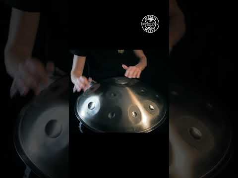 Battiloro ARGUS D Saladin 12 #handpan #handpanworld