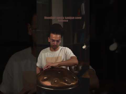 Moonlight sonata handpan cover by Oriemu