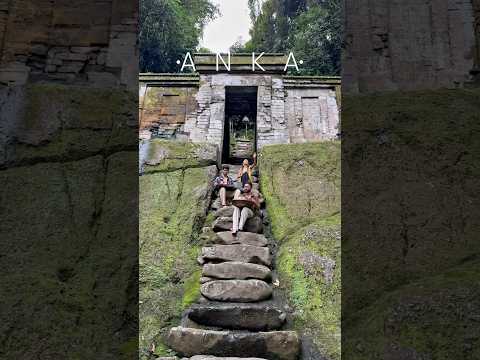 Musicians Playing Among Moss-Covered Stones #performance #peaceful #nature