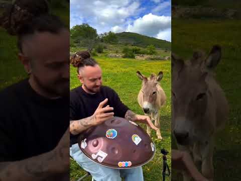 Enjoy ❤️ #handpan #mesmerizing #soulful #vibe #music #divine #artist