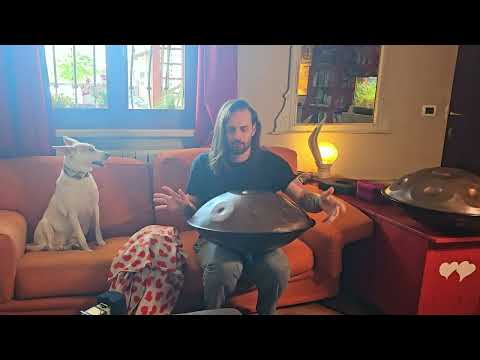 Relaxing Hang Drum Music with my Dog | Positive energy | ♬11