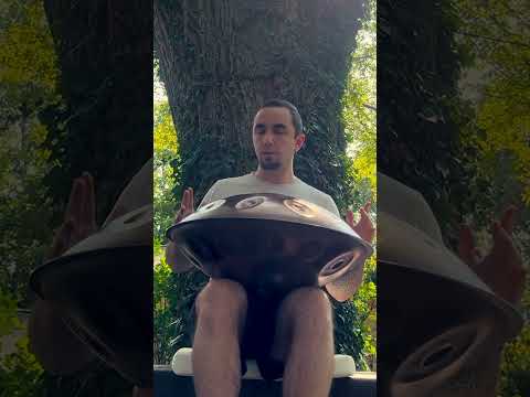 Come zen out with me under Zeus the Elm Tree 🌳 #handpan #handpanmeditation #meditationmusic
