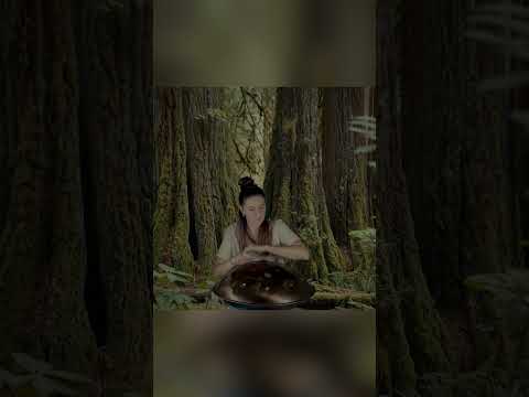 Lost in an Enchanted Forest With a Handpan | Planet Ding