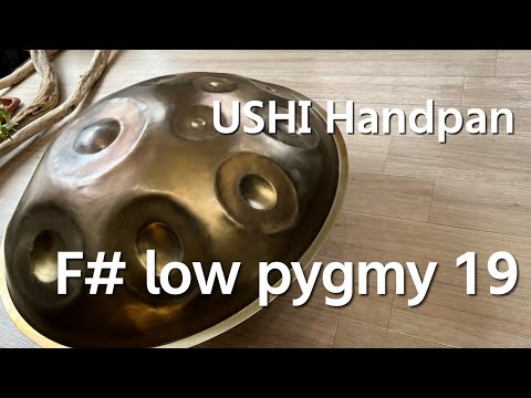 【レンタル用ハンドパン】USHI Handpan / F# low pygmy 19 試奏2