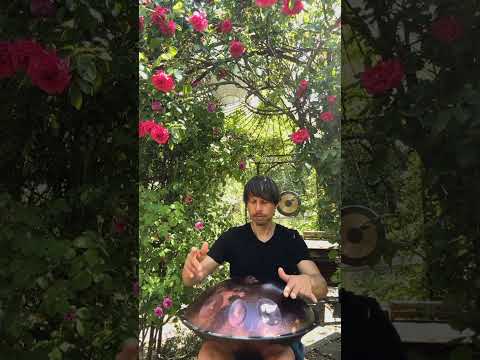 Blooming Roses | #handpan  Music | Alwin Steinle | C#-Pygmy #handpanplayer  #meditation