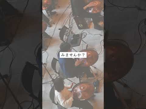 春の訪れを告げる、明るいアンサンブル | Handpan TRIBE「桜の便り届くころ」