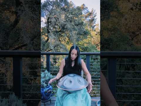 enjoying the sunshine - handpan: g minor harmonic 13 Spirit Handpans