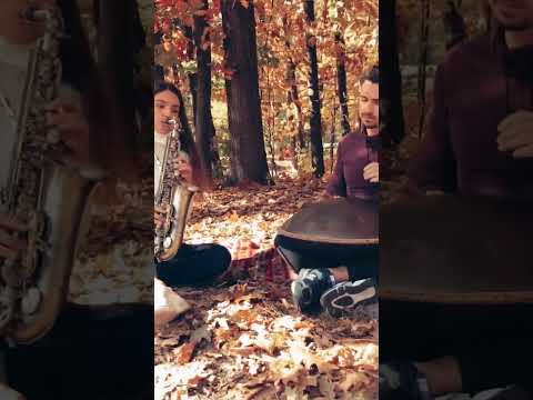 #hang #handpan #music #handpanmusic  #autumn #autumn2023 #saxophone #saxophonegirl #music2023