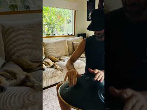 Handpan Pattern | Inspired by the great Malte Marten from Yatao - Relax the Pets #shorts