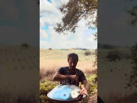 Vibration of beauty | Alwin Steinle | Handpan La Sirena #handpan #handpanmusic #soundhealing #peace