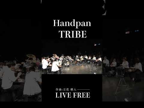 風を切るようなスピード感。自由を奏でるアンサンブル | Handpan Tribe「LIVE FREE」