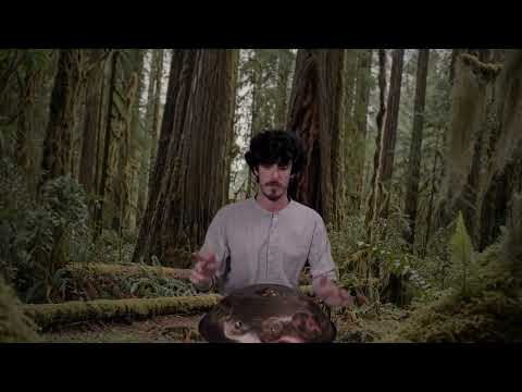 Immersive Handpan Improvisation with a Spicy Twist | Planet Ding