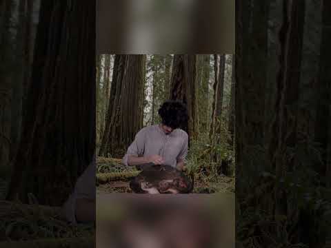 Unexpected Handpan Rhythms 🎵 | Planet Ding