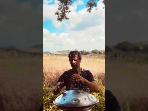 Maremma delights | Alwin Steinle | Handpan E La Sirena #handpan #handpanmusic #soundhealing