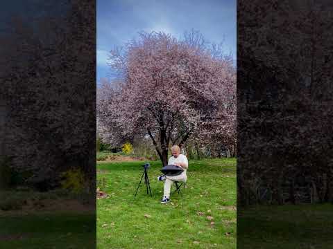 #SpringInBucharest #BucharestVibes #handpanmusic #handpanmusic #handpanvideo #handpan #antonstrilets