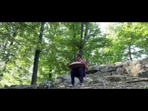 Meditative Handpan & Forest (use  🎧) Take 5:22 to breathe