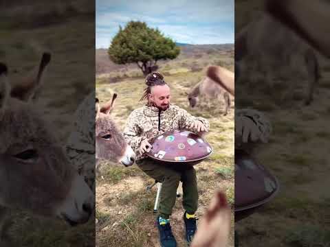 Happy Weekend ❤️ #handpan #music #soulful #artist #mesmerizing #musician #entertainment