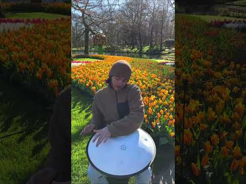 BeatRise White Handpan - D Kurd 9 - Marius #shorts #drum #handpan #handpandrum #handpanmaker