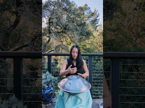 enjoying the sunshine - handpan: g minor harmonic 13 Spirit Handpans