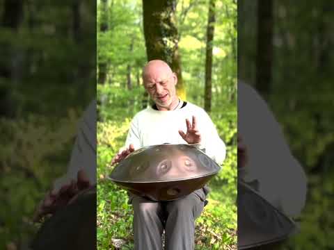 Deep Forest Echoes... 🌲✨ | Handpan Magic