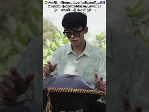 Harmonize with the sunlight (440Hz) - Handpan music @Handpanion