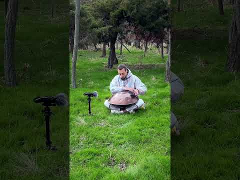 HANDPAN Meditation Music | Forest with real birds singing 🌲