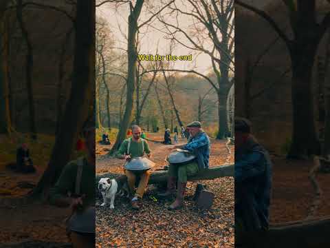 The end 😵🥹🥹 #handpan #nature #crowd