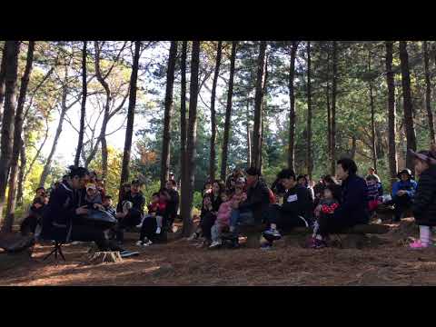 핸드팬(Handpan) 연주 - 인재개발원 숲속