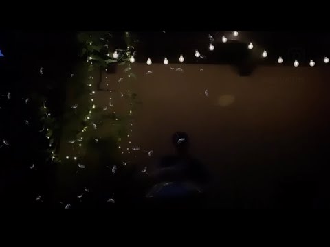 “House of Dandelions” (home sweet home)