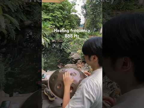 Nhạc trong hồ cá 🐠 #handpan #hangdrum #healing