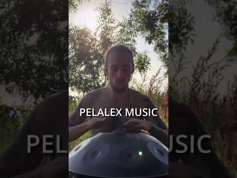 Forest Echo | HANDPAN Pelalex short Music #73