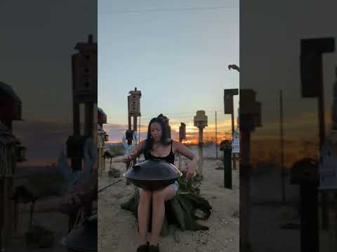sunrise serenade - Handpan: G Major 19 Elysian Instruments