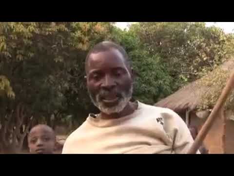 Arc musical africain | djoliba music store