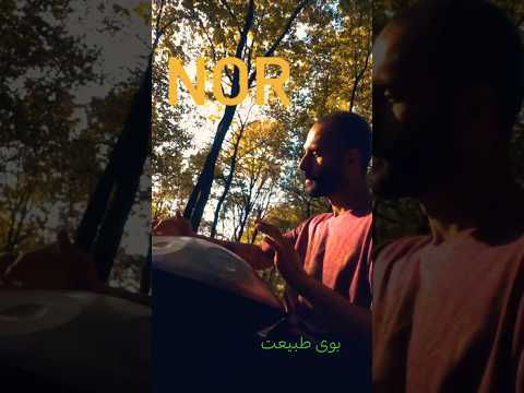 صدای هنگ درام در دل طبیعت 🌳🧘🌲#hangdrum #هنگدرام #ملودی #آرامش_روح #آرامش #طبیعت #طبیعت_بکر