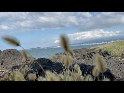 Handpan music 'Island, Sea & Travel' / 핸드팬 연주