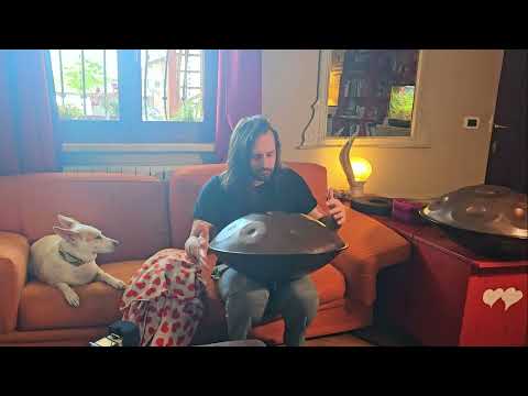 10 Minutes Mediation with Handpan and a Doggo | ♬13