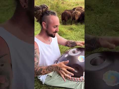 Listen & enjoy ❤️#handpan #soulful #music #musician #artist #divine #vibe