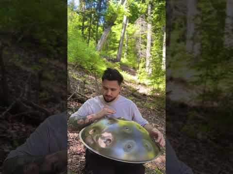 Musical handpan duet with the birds  #handpan #antonstrelets #handpanmusic #naturevibes #bucharest