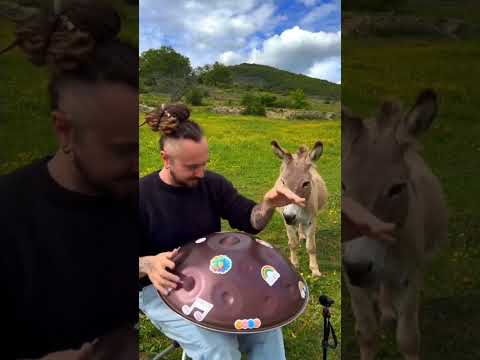 Have a nice day ❤️#handpan #handpanmusic #handpaninstrument #percussion #music #mesmerizing #artist