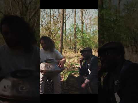 Don't miss his voice! | Acero F#2 Nordlys 15 | Handpan Music
