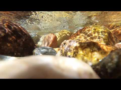 Anicca Project - Somnom