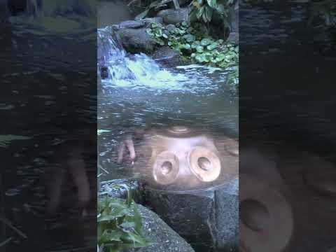 Gentle Stream — A Flowing Handpan Meditation | Asato Tachibana