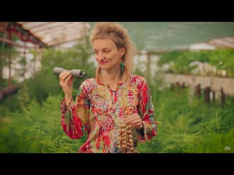 The Rhythm Of Nature