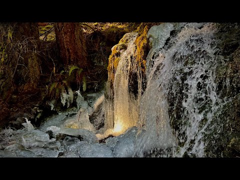 Ice of Gold | Jocéan&Burke | Meditation with C# Wood Flute & Eb La Sirena 16 Yishama Handpan