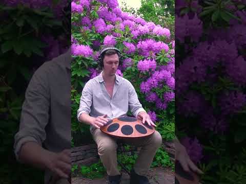 Handpan in the garden